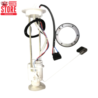 Electric Fuel Pump Assembly For UV-21-600cc