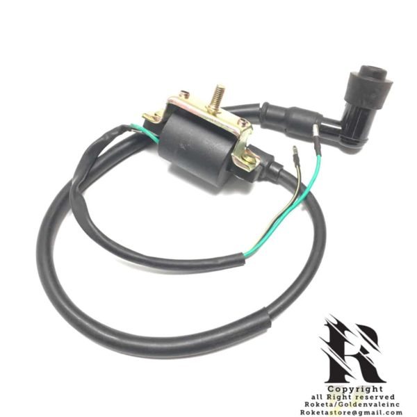 2-Wire Ignition Coil for 4-stroke