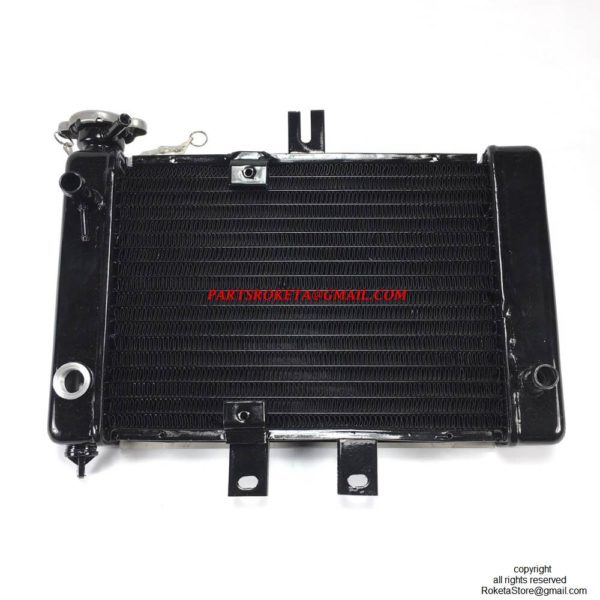 ATV-04WC-250cc 3 Monting Hole Old Style Radiator