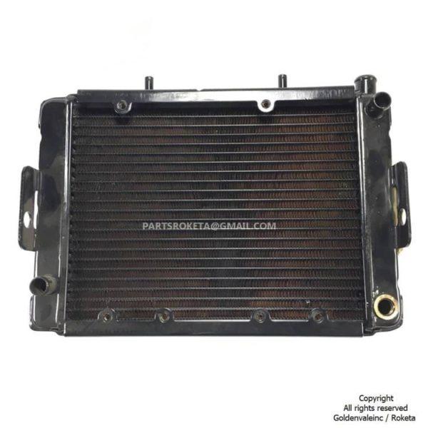 ATV-01-250cc Radiator