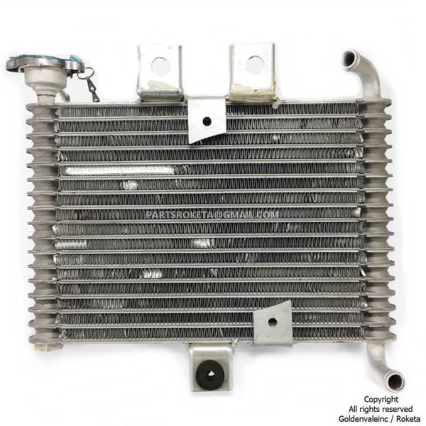 ATV-02-250cc Radiator