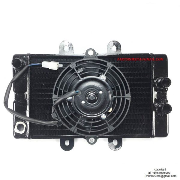 Scooter Radiator For MC-54-250cc New Style