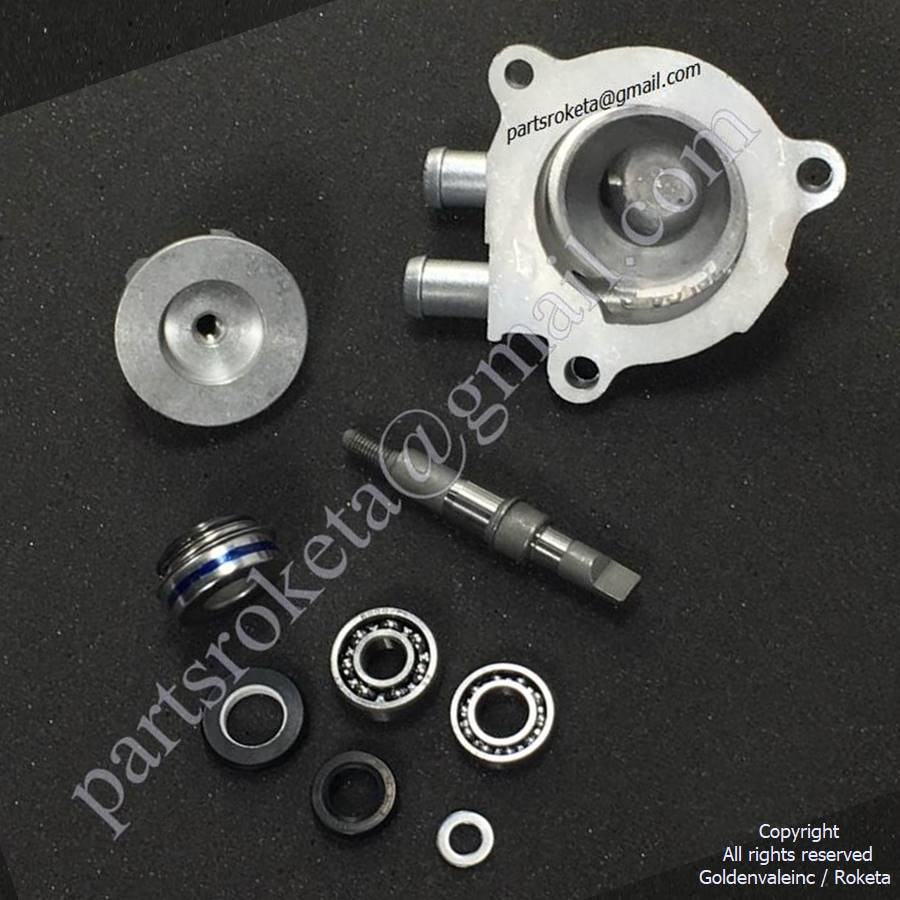 Water Pump Assembly For ROKETA ATV-02-250cc > RoketaStore