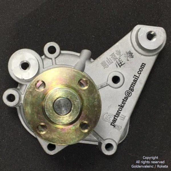 Water Pump Assembly For GK-32/25-800cc