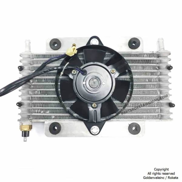 ATV-250cc Radiator Assembly