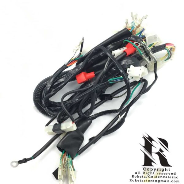 Wire Harness Assembly For BASHAN DB-41H-250
