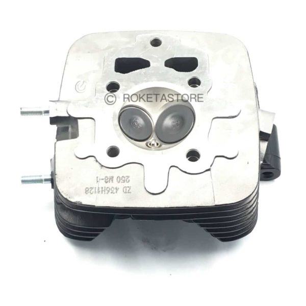 Cylinder Head Assembly For BASHAN 250 DB-41H-250cc