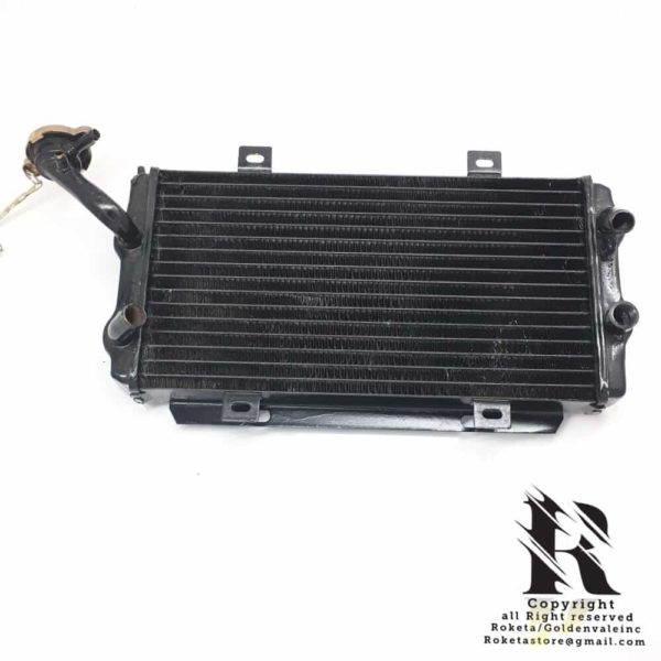 Radiator Assembly For GK-13-250cc