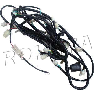 MC-54-250cc Wire Harness