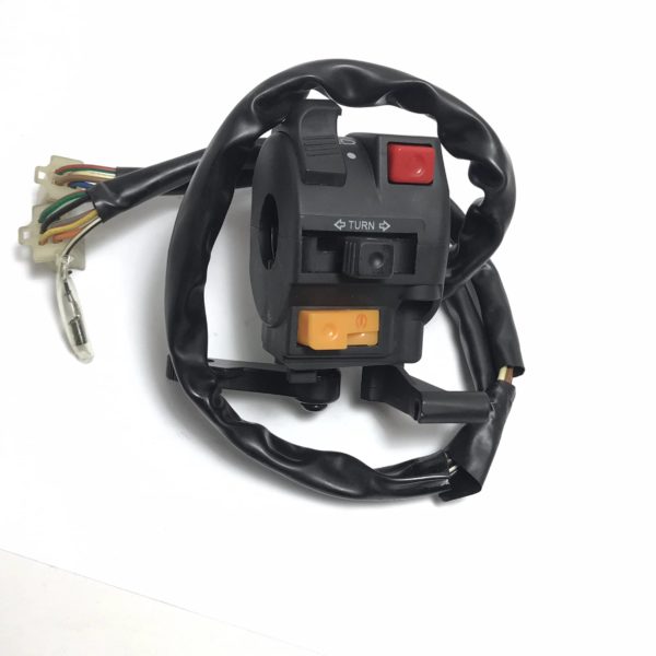 11 WIRES 2 FEMALE PLUG LEFT SWITCH ASSEMBLY