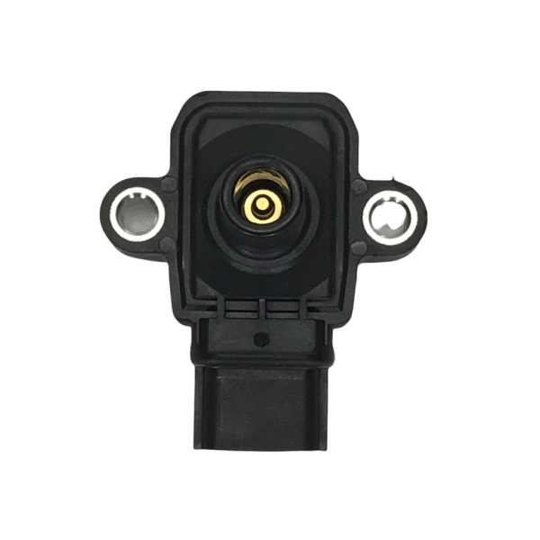 IGNITION COIL FOR APPLESTONE APU06EL