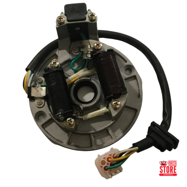 2-Coil Stator 5 Wires 1 Female Plug 110cc 125cc