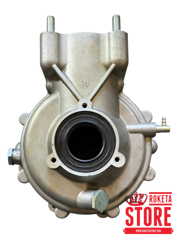 Rear Differential Assembly For Roketa