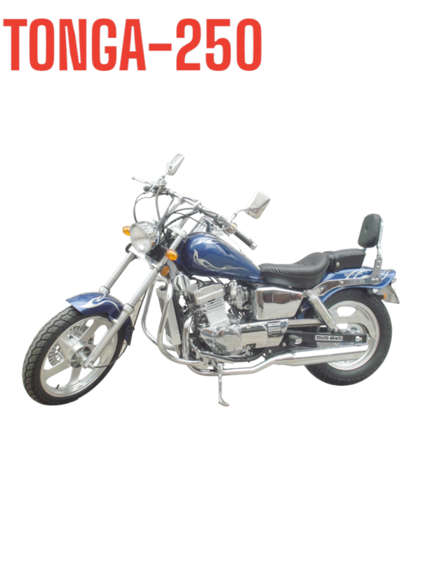 MC-51-250cc TONGA-250 parts