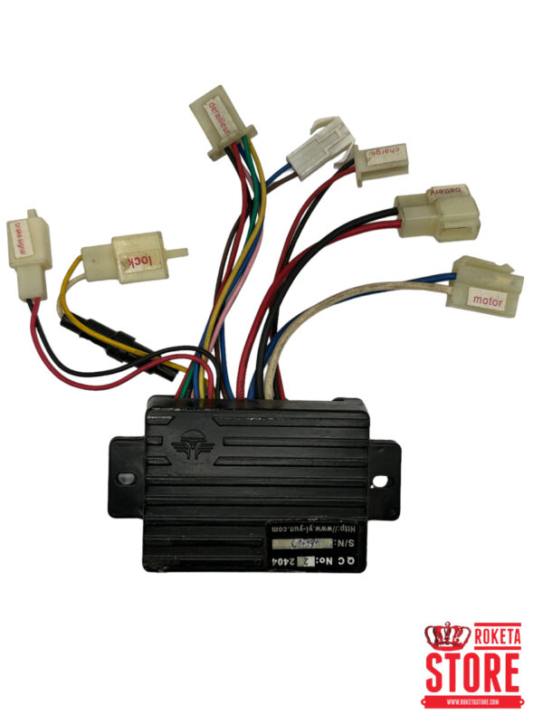 24v250w Electric Controller (2-2404)