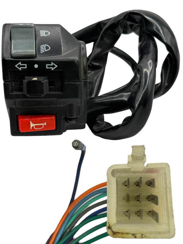 10 Wires Left Switch Assembly (MC-134-250cc)