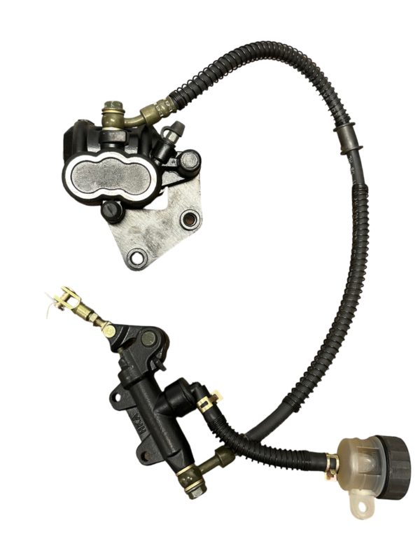 Rear Brake Assembly
