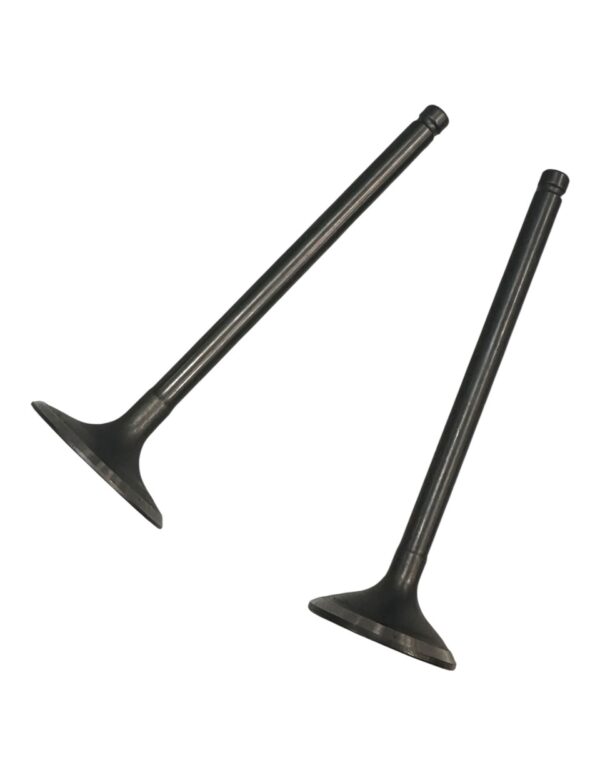 Engine Valves – Apollo 250cc DB-36 (90mm)