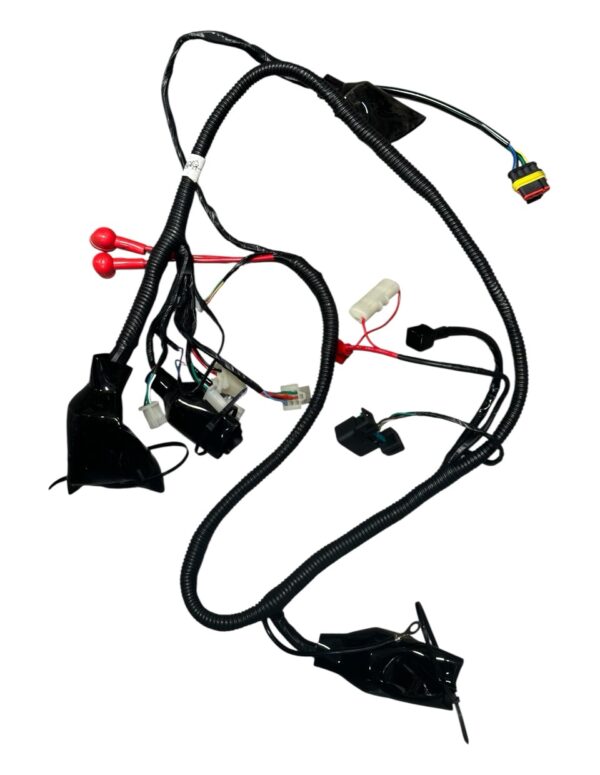 Wire Harness – Fits TANK 200cc EFI (VIN HT5)