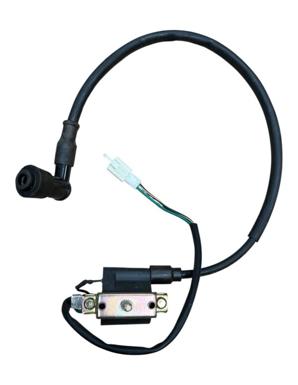 Ignition Coil – Dual Wire  – Fits 110cc 125cc